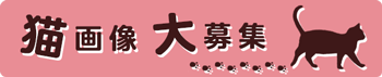 猫画像大募集